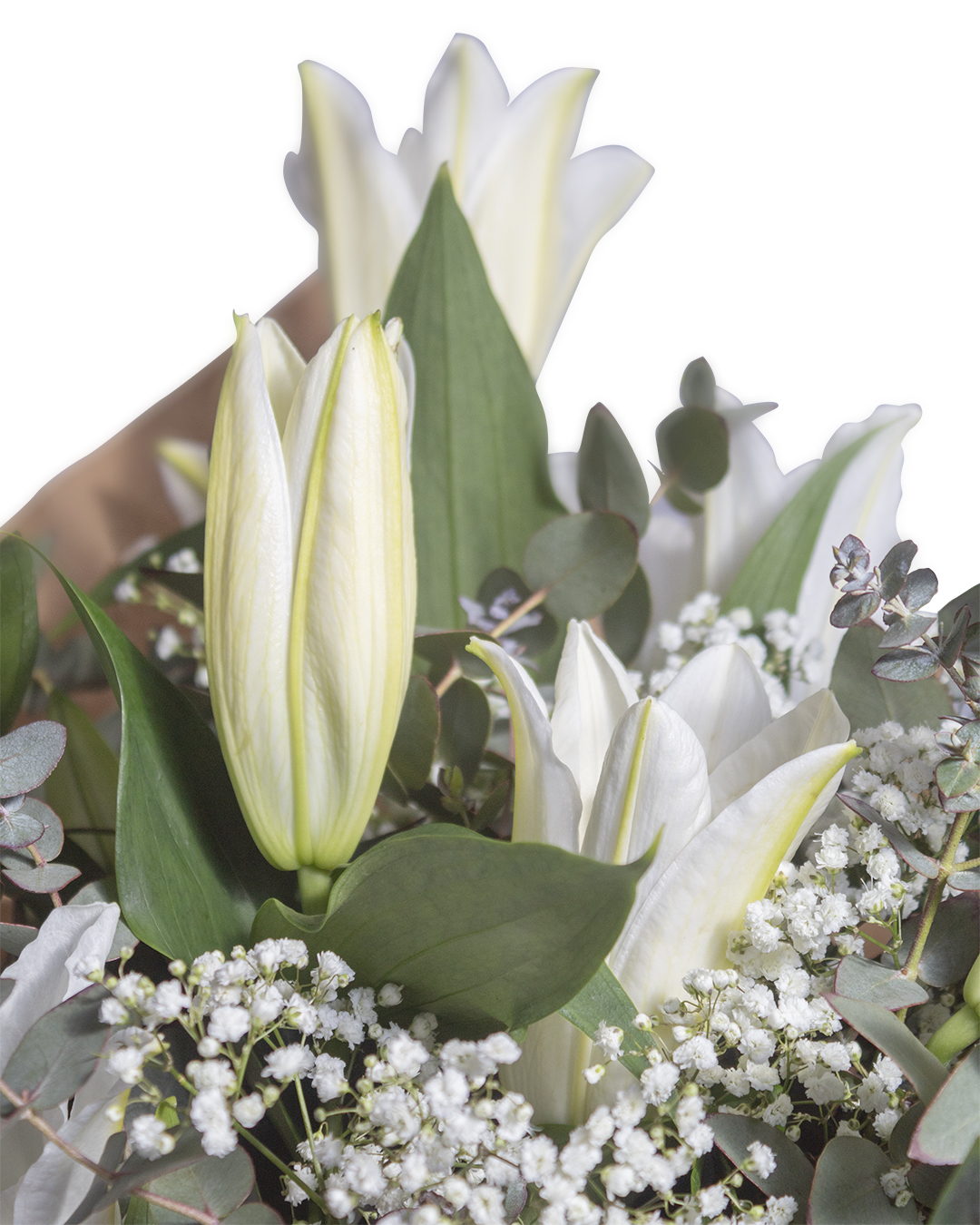 ramo_4_detalle_flor