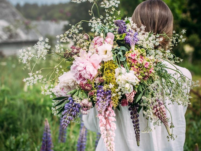 flores-silvestres