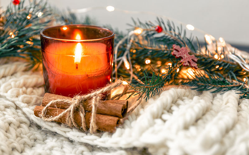 Decora tu casa con flores y plantas esta Navidad