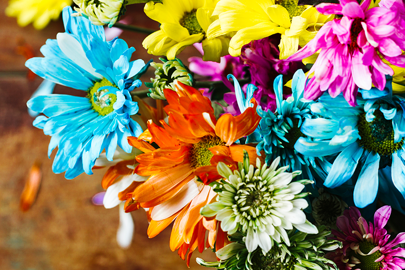 Floristería Jávea