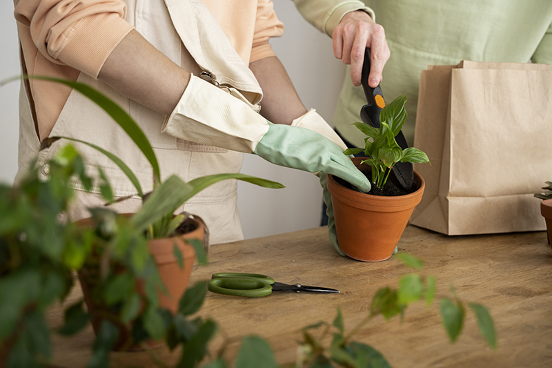 plantas y flores_ natalia garcía